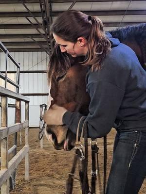 The faces she makes crack me up 🤣 #horsebonding #horsesoftiktok #cutehorse #mare #funnyhorses #sassymare  #horsescratches #baymare #horsetok #itchyhorse 