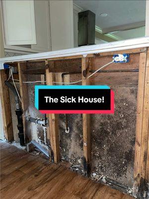 Mold can make you extremely sick 🤮 #newfearunlocked #blackmold #truorganicrestoration #landlordspecial #realtorsoftiktok #renters #landlordspecial #realestateinvestor #mysteryillness #houseflipping #tenantsfromhell #rentalproperty #newhomeowners #cancersucks 