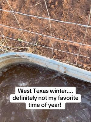 I do not like the cold and we are about to get a winter storm. #dontlikethecold #texaswinter #goatsoftiktok #greatpyrenees #horsesontiktok 