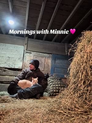 Love my morning cuddles 🩷 this was originally a 20 minute video of us, just loving on each other. It's our everyday routine when I am doing barn chores. She has no problem, interrupting.##farmlife##farm##farmtiktok##barncat##barncats##cat##catsoftiktok##cats