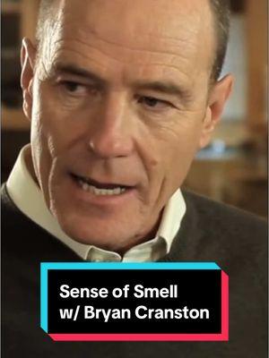 please stop farting in Tyler’s face Sense of Smell w/ Bryan Cranston (2010) #bryancranston #sketchcomedy #farts #comedy 