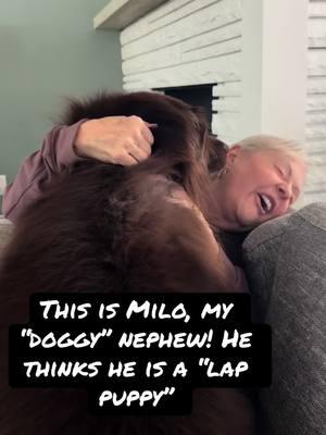 Pet love#Milo wants to love on me every time I see him😀#pets#grandmagreatofficial #grandmagreatloveshertiktokgrandchildren #Grandmagreat’s Coalition of Kindness❤️#join us!  