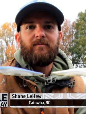 In this #TackleTipTuesday, Shane LeHew picks the one bait he can count on from the late fall through winter and into the next spawn. #bassmaster #fishingtips #ttt #bassfishing #BassElite