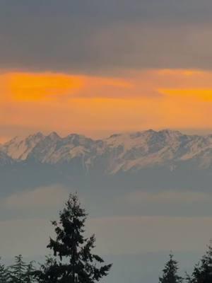 Wow, this afternoon was beautiful. #seattle #sunsetlove #sunsetlover🌅 #wonderland #outdooradventures #traveladventures #pnwonderland #pnwcheck #washingtoncheck #vibes #mountainsarecalling 