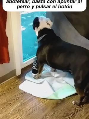 Este perro ladrando a distancia es un cambio de juego#dogbarking #dogtrainingtips #DogTraining#barkingdog #dogs #dogparents #dog#christmasgift #stockingstuffers #holidaygifts#creatorsearchinsights #fyp #TikTokShop#tiktokshopfinds 