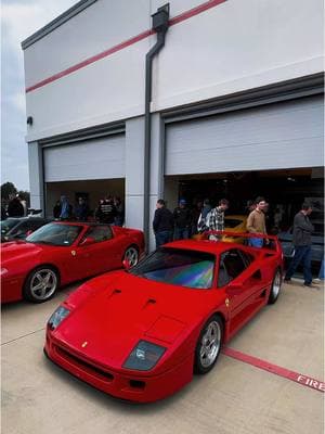 First show of 2025 was pretty good. #ferrari #f40 #fyp #cars 