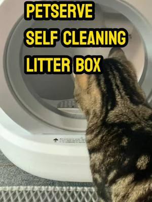 This is the best cat box I have ever used. It's great. And it was worth every penny #Petserve #selfcleaninglitterbox #automaticlitterbox #litterrobot #tiktokshopblackdfriday #catsoftiktok #litterbox #kittylitter #litterhack #TTShop #cat #catsoftiktok #catmom 