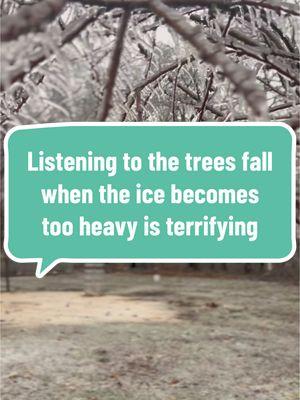 Listening to our woods fall down in the ice storm was terrifying y’all but it was so beautiful too. #winterstormblair #icestorm #fallingtrees 