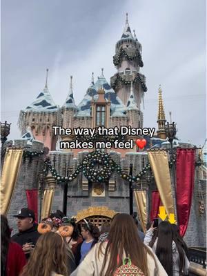 Thanks Taylor #disney #disneyland #disneyadult #taylotswift #swiftie #ca #fyp 