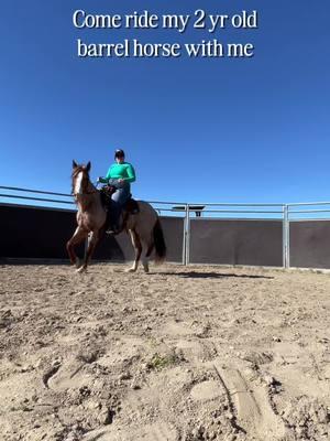 Enjoy the show 😏 #horse #horsetok #barrelracer #barrelracing #barrelhorse #horsetraining #horsegirl #western #influencer #horsewoman #cowgirl 