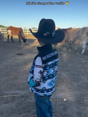 Mi niño vaquero 🩵🤠🐮  Hat from @Jobes_Hats  Shirt and vest from @Eliana Avila💖  #morinranch #ranchlife #paratiiiiiiiiiiiiiiiiiiiiiiiiiiiiiii #trendingsong #cowboyhat #jobeshatstore #fypシ #rgv956 #ninovaquerito #vaquero #sheesh #western #westernfashion #westernstyle #cowboy #cowboylife #cowsoftiktok #cows #vacas #cattleranch #viralvideo #(null) 