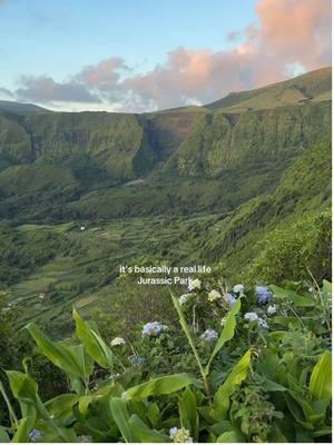 Replying to @mindy ミンディ 🥥 🐚 🌺 my dream life 😭 Another incredible spot in the Azores, this is Fajãzinha on Flores Island 🤍🤍 #azores #portugaltravel #europeansummer #tiktoktravel #lifewithouttrendingaudio 