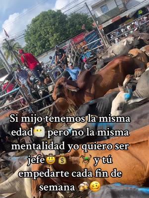 #ganaderia🐂🐎 #tianguis #ganaderos #elsalvador #ganaderia #ganado 