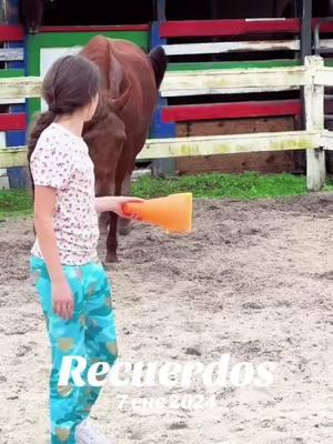 #Recuerdos #horse #caballo #caballos #caballoscolombianos  #horse #horses #equinos  #cabalgatas #caballistasdecorazon #viral#equitacion #equestrian #ecuestre #tiktokdecaballos #pasionequina #pasionparaloscaballos #videosdecaballos  #caballosconcorridos #caballosfinos  #trocha #trochacolombiana  #troteygalope #trochaygalope #caballosdepasofino #pasofino #pasofinocolombiana #yeguas🤠🐴 #yeguadecarreras #yeguasmadres #cuartodemilla #yeguas #