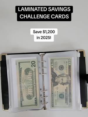 I can't believe how much easier saving money has become since I started using these laminated savings challenge cards! They're not just practical but also so fun and motivating.  I love being able to visually track my progress, and the best part is, they're reusable! These challenges have helped me stay consistent and hit my savings goals faster than ever.  If you're looking for a fun way to save, you NEED to try these! Just click the orange shopping cart icon to grab yours!  #SavingsChallenge #BudgetingMadeEasy #MoneySavingTips #DebtFreeJourney #CashStuffingCommunity #SaveMoneyLiveBetter #BudgetGoals #FinancialFreedom #MoneySavingChallenge #FrugalLiving