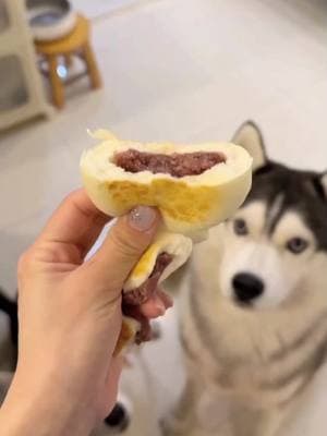 Today I’m sharing taro puree, purple sweet potato and yam cake #eating #cutepet #dog  #zookeeper #cute #fyp 