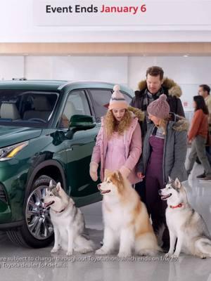 my amazing national Toyota commercial “Human Friends” is OUT NOW!! as part of the Toyotathon campaign 🚗🚙☃️🐕🐕🐕!! & such a dream to work w my favv dogs huskies 🫶🐶🐾 Its been airing everywhere!! plz let me  know if you’ve seen it and where 👀 📺  #toyota #toyotahighlander #toyotausa #car #commercial #huskies #husky #dogs #snow #winter 