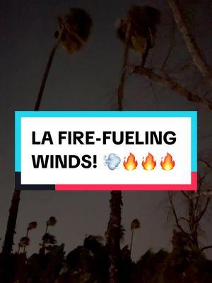 “Captain, these palm trees canna take it!” #MovieTrailers #TrailerEditor #PacificPalisadesFire #PacificPalisades #LosAngeles #SouthernCalifornia #SantaAnaWinds #FilmTok #MovieTok