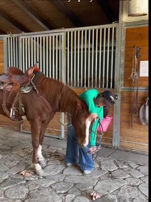 If you’re triggered, buy her… 😉  #h#horseh#horsetokb#barrelracerb#barrelracingb#barrelhorseh#horsetrainingh#horsegirlw#westerni#influencerh#horsewomanc#cowgirlg#grwma#asmrdayinmylife 