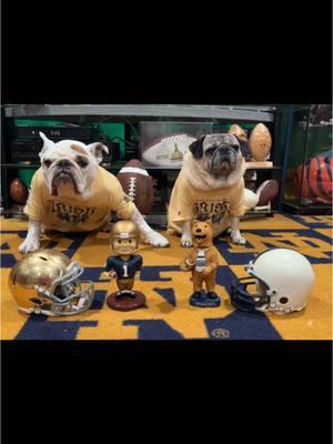 Cheer Cheer for old Notre Dame ☘️☘️☘️Who’s Ready for Some Notre Dame Football 🏈 🏈🏈🏈 Go Irish ☘️ Beat Nittany Lions #GoIrish #weareND #nd #NDnation #notredame #fightingirish #bowlgames #bowlseason #CollegeFootball #explorepage #explore #espn #bowlspotlight #cfb #orangebowl  @Orange Bowl @Notre Dame Football 