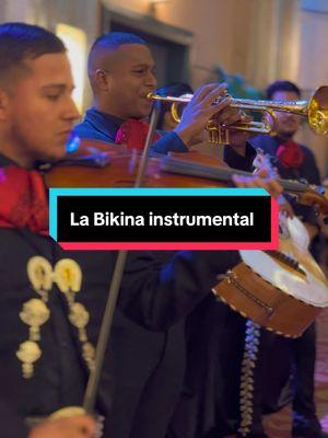 La Bikina tiene pena y dolor.. Saludos a todos  📱contrataciones 📱2136442516 y 5625671423 LOS ANGELES CA🌴🌴🌴 #mariachis #mariachistiktok #mariachiband #musicamexicana #musicamariachi #rancheras #rancherasmexicanas #musicamexicana🇲🇽 #mexicantiktok #martesdetiktok #mexicantiktok #labikina #elmariachideluisvargas 