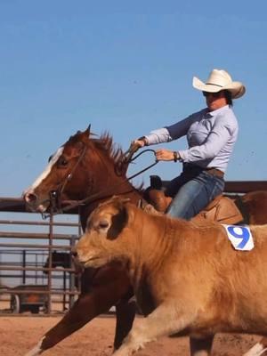 “Chrome” sells at the Art of the Cowgirl horse sale in February 👏🏼 #cowgirl #cowgirlhorse #cowhorse #ranchhorse #workingcowhorse 