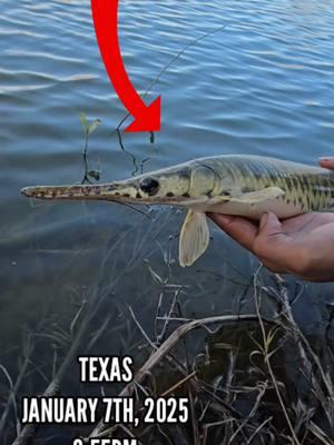 I CAUGHT A BABY DINOSAUR! 😨😯 #fishing #fishingvideos #fishingtime #bassfishing #texasfishing #Outdoors #jermfishingtv #freshwaterfishing #fishtok #pondfishing #dinosaur 