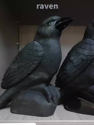 Ravens #crystals #crystalshop #crystaltok #crystalhealing #naturalcrystal #healingcrystals #crystalsoftiktok #carving