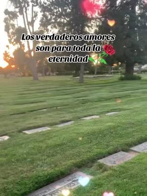 #Recuerdos #cuandodosalmassequieren #misangeles#paratii #conamor #♥️ #2025 #cementerio #lodi #california #astaelcielo #elamoreterno#