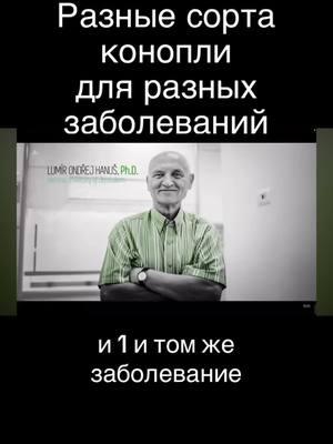 Для каждого есть отдельный сорт! #каннабидиол #эндоканнабиноиды #cbd #краснодар #кубань 