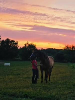 💛💜  credit to @Double Jo #gold #indigo #baymare  #palominomare #hearthorse #sunset #horselover #horsetok #horselife #barrelhorses 