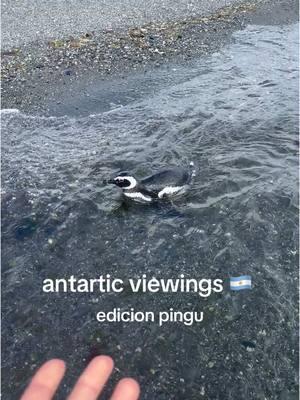 <33 #antartic #ushuaia 