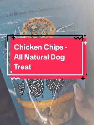 Chicken Chips Blooper - Dog is not a paid actor 🤦🏽‍♀️ No knock against these treats, Jojo identifies as a cat 🤷🏽‍♀️ #chickenchips #packapproved #dogtreats  #penitentiarypup #dogsoftiktok 