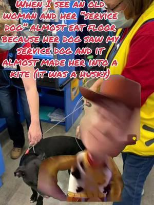 #CapCut F**k around and find out I guess ☠️ #fakeservicedogsoftiktok #fakeservicehandler #fakeserviceanimal #husky #bernese #fafo #walmart #hellmartwalmart 