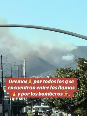 Empezamos el año y ya hay desgracias 😩🔥 oremos por toda la gente q está en peligro ⚠️ por los animalitos y los bomberos que ponen su vida en peligro para salvar otras🙏#fy #fypシ #fypシ゚viral #paratiiiiiiiiiiiiiiiiiiiiiiiiiiiiiii #fire #2025 #desgracias #pray #oremos #prayer #la #palisades #santamonicapier #fuego 