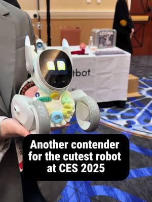 Loona is so dog-like it must have pet DNA built in to it 🐶 #CES2025 #robotdog #cuterobots #robotics #chatbot 