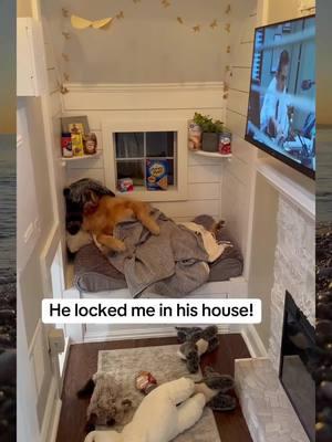 My dog locked me in his house!#dog #pranks #dogsoftiktok #goldenretriever #puppy #funny #lovedogs #doghouse #foryou #fypシ