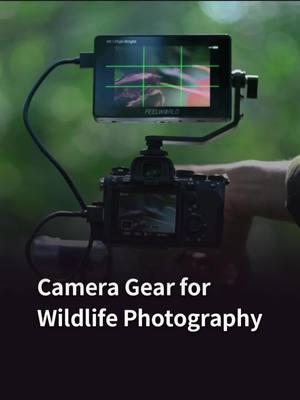 Capturing wildlife's beauty takes more than just skill—it takes the right gear. By@Dipankar Bakshi Photogr #feelworld #feelworldmonitor #wildlife#fieldmonitor#videography #contentcreator #director