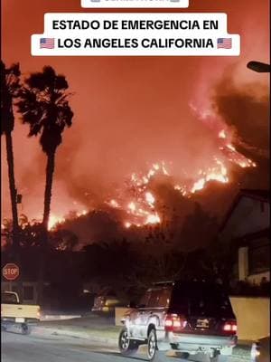 #losangeles #losangelescalifornia #fire #incendio #california #santamonica 