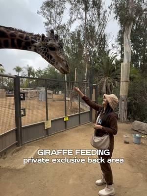 Inside Look Tour is a really fun experience!Take a private cart with a Zoo guide for special viewing areas, exclusive interactions, and see animals up close. @San Diego Zoo #sandiegozoo #zoo #tour #wildlife #giraffe #elephant #okapi 