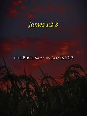 James 1:2-3 Consider it pure joy, my brothers and sisters, whenever you face trials of many kinds, because you know that the testing of your faith produces perseverance. #bibleverse #biblequotes #godquotes #christiantiktok #biblescripture #prayer 