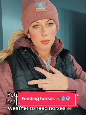 #feedinghorses, #coldweather, #fyp, #foryoupage, #horsetok, #horsesoftiktok, #equine, #equinetiktok Putting 500 layers on so I can go feed horses in 17d weather! 🥶❄️