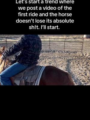 #cowboy #horsetrainer #horsetraining #coltstarting #draftcross #horseman #horsemanship #horsesoftiktok #horse #utah  #bzthorsetraining #bzthorses 