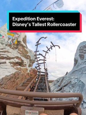 Expedition Everest is Disney’s Tallest Rollercoaster at 112 Feet. Have you been on Disney’s Mount Everest Ride? #expeditioneverest #disneyrollercoaster #rollercoaster #coaster #disneyworld #animalkingdom #walruscarp #ridepov 