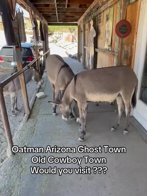 Ghost Town #roadtrip #vacation #camping #trip #travel #nature #town #cowboy #rv #fyp #sightseeing #motocycle #ghosttown #cowboy 