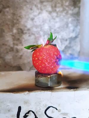 Powerful lighter Vs 🍓🍓🍓#lighter #wow #usa #eksperimen  #tiktok #foryoupage #asmr #science  #experiment #satisfying  #foryou #asmr #fypシ゚ 