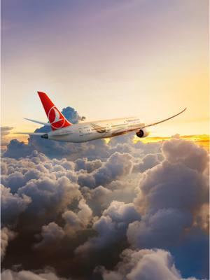 The most beautiful moments of 2024 are now behind us. Ahead lie bigger goals and new destinations. Ready to meet us above the clouds?  #TurkishAirlines