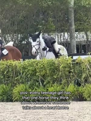 hopefully seeing him soon #relatable #horsesoftiktokforyoupage #relatablecontent #viral #fypシ゚viral #horses #horsesoftiktok 