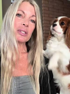 #stayathome #dog #dogmom 🐶♥️#blooper #neurotransmitters #serotonin #tryptophan #nofilter #nomakeup #eatmeatbehappy #eatmeatbehappy #getinthatkitchen #cookyourmansomefood #minnickkem #kemminnick #swedishbikinichef👙🇸🇪 #baconbikinibabe #baconbikinibody #onionsoupdiet #pirateunicorn🏴‍☠️🦄 