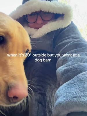 bc these dogs dont be giving af about you being cold .  #dogboarding #farmlife #dogkennels #dogfarm #boarding #kenneltech 